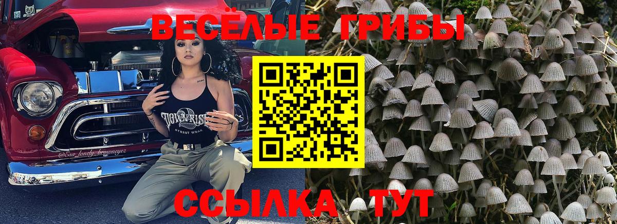 купить   Галлюциногенные грибы ЛСД  Вход с VPN  Галлюциногенные грибы MAGIC MUSHROOMS  Нефтеюганск 